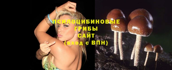 PSILOCYBIN Верхнеуральск