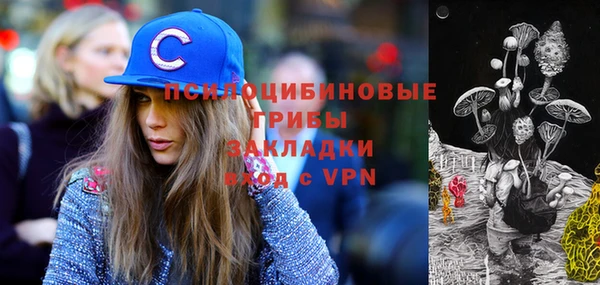 мяу мяу мука Верхний Тагил